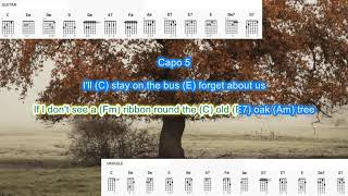 Tie a Yellow Ribbon by Tony Orlando and Dawn play along with scrolling guitar chords and lyrics [upl. by Ahsinhoj742]