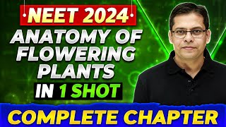 ANATOMY OF FLOWERING PLANTS in One Shot  Complete Chapter of Botany  NEET 2024 [upl. by Windzer]