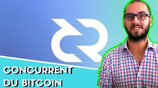 Decred la crypto qui voulait concurrencer le bitcoin  Crédible  DCR [upl. by Hobie22]