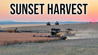 Scenic Harvest amp Walking a D11 Through the Harvest  Harvest 2023  Vlog 220 [upl. by Lesh]