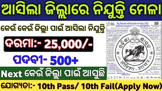 Odisha District Wise Nijukti Mela 2024  Odisha New Govt Jobs 2024  10th Pass Nijukti Mela 2024 [upl. by Eve]