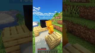 TooBad wird TikToker minecraft gaming lustig [upl. by Ri]