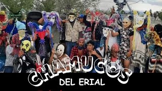 chamucos del Erial 2024 [upl. by Suivatra]