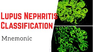 How to remember 6 classes of Lupus Nephritis Mnemonic [upl. by Cyprian]