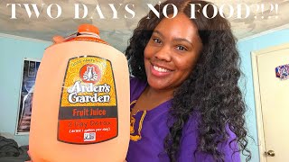 Arden’s Garden 2 Day Detox  Weight Loss  DID I FAIL [upl. by Akcirre]