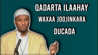 Qadarta Waxaa Joojiya Ducada ᴴᴰ┇ Sheekh Abdirisaaq Xaashi [upl. by Templa721]