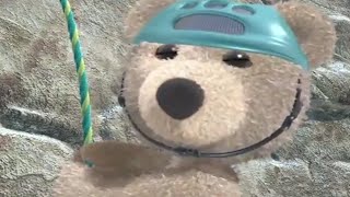 Little Charley Bear Official  Mountain Rescue Midge  Season 1  Full Episodes [upl. by Salesin]