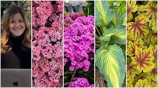 New Perennials for 2024 😍🌿🌸  Garden Answer [upl. by Jorry]