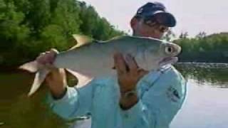 Fishing Tiwi Islands Australian Barramundi Fishing Darwin [upl. by Libre]