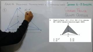 GEOMETRÍA  ÁREA DE REGIONES TRIANGULARES Y CUADRANGULARES [upl. by Airpal415]