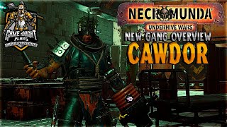 Cawdor Gang DLC Review and Overview  Necromunda Underhive Wars [upl. by Ynnel]