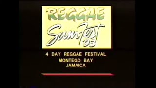 REGGAE SUMFEST 1993 [upl. by Aynnat998]