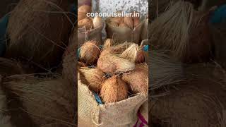 Fresh semi husked coconut [upl. by Landre]