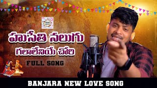 HUSETHI NALUGU GALALAYE CHORI FULL SONG  BANJARA LOVE FAILURE SONGS  ST LOVE FAILURE SONGS [upl. by Enirhtac]