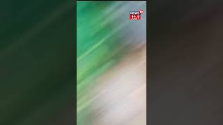 Watch  Inundation of rivers and reservoirs after floods in Kerala  Flood  River News 18Urdu [upl. by Osithe]