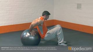 Swiss Ball Tricep Dip [upl. by Hamlin]