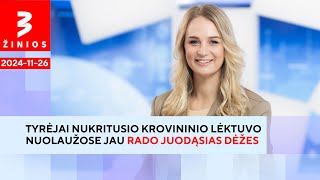 Atsiranda liudininkų kurie teigia matę liepsnas lėktuvui dar skrendant  TV3 Žinios [upl. by Nnyltiac]