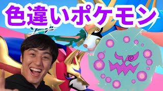 【ポケモン剣盾】13 ダイパリメイク前に色違いミカルゲ探し！【1651～】 [upl. by Geiss]