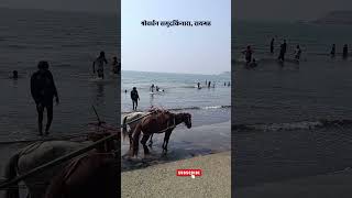 Shrivardhan Beach Raigad  श्रीवर्धन समुद्रकिनारा रायगड [upl. by Scibert]