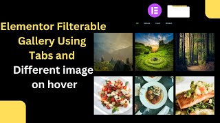 Create Filterable Gallery Using Tabs and Different image on hover in elementor free version [upl. by Emogene662]