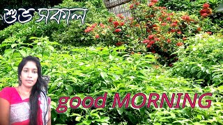 সকালের সেই সুন্দর মনোরমা পরিবেশ ৷ কতো সুন্দর সেই ফুল৷৷ Sakal poribesh৷ Sundar Saiful ৷ Bengali vlogs [upl. by Hance]