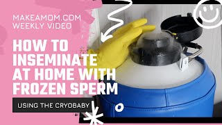 How to Inseminate at Home with Frozen Sperm and The Cryobaby [upl. by Eltsirk990]