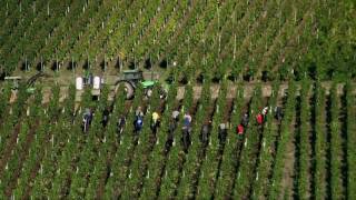 Mosel in Germany BernkastelKues tourism highlights  Moselle travel video [upl. by Tommy]