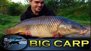 BIG CARP Fishing tips in Summer  TAFishing Show [upl. by Aivonas]