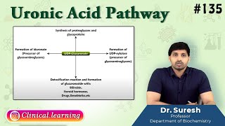 135 Uronic Acid Pathway [upl. by Ellocin]