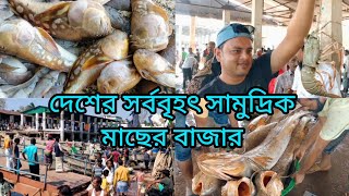 ফিশারি ঘাট মাছ বাজার কক্সবাজার ।। Fishery ghat ।। Sea fish market Coxs Bazar ।। Khushnur Nahid ।। [upl. by Llehcor]