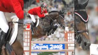 Jumper Horse Hickstead [upl. by O'Dell]