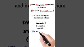 parathyroid hormone function  vitamin D function [upl. by Aynav679]