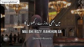 Main bhi rozy rakhun gaRamzan SpecialSlowed and ReverbCopyrightfree [upl. by Ule]