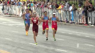 2015 ITU World Triathlon Chicago  Elite Mens Highlights [upl. by Noskcaj]