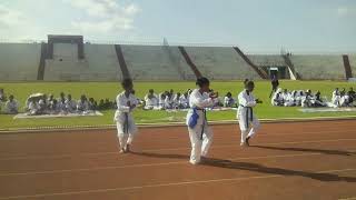 Tiger International Taekwondo kid Females on group pattern Chanpionship [upl. by Barret]