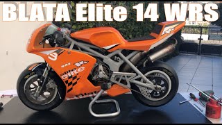 BLATA Elite 14 WRS  Tagstyle competition [upl. by Senior]