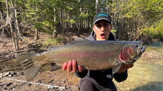 I caught my personal best Rainbow Trout [upl. by Allveta]