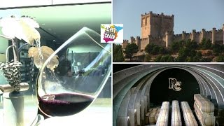 Ribera del Duero Wine Tour [upl. by Eisiam]