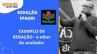 CORREÇÃO DE REDAÇÃO CONCURSO EPAGRI FEPESE [upl. by Okoyk710]