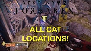 Destiny 2 Forsaken  All Dreaming City Cat Locations Small Gifts [upl. by Yrekcaz]