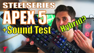 SteelSeries Apex 5 Keyboard Review  It Looks Amazing But Typing TestSound Test [upl. by Eggett]