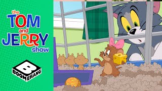 Jerry the Hamster  Tom amp Jerry  Boomerang UK [upl. by Gonsalve]