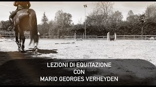 Equitazione online migliorare lavvicinamento al salto [upl. by Muldon]