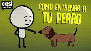 Cómo entrenar a tu perro  Casi Creativo [upl. by Aihcsrop]