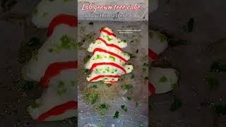 living Christmas tree cake [upl. by Aldred]