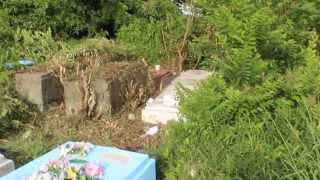 GUYANA La Repentir Cemetary turned Jungle in the heart of the Capital of Georgetown Guyana [upl. by Guinn]