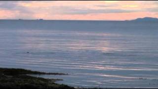 Gray Whale off Gabriola Island [upl. by Dikmen872]