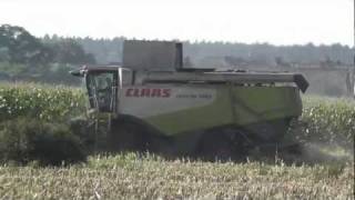 Claas Lexion 580  24092011  wwwyakpowerde [upl. by Joni670]