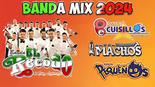 Bandas Viejitas Pero Bonitas Mix Romanticas  Cuisillos Pequeños Musical Machos Banda El Recodo [upl. by Reyna739]