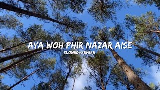 Aya Woh Phir Nazar AiseSlowedReverbsong [upl. by Oicnedif295]